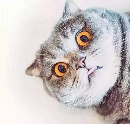 “当然有啊，口腔检查已经被列入常规孕检流程了。