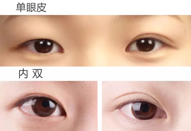 技巧:单眼皮妹子贴时,要贴近睫毛根部才可以支撑起眼皮~内双妹子贴时