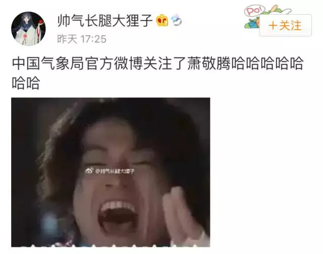 ▲ 喏！就是这条！