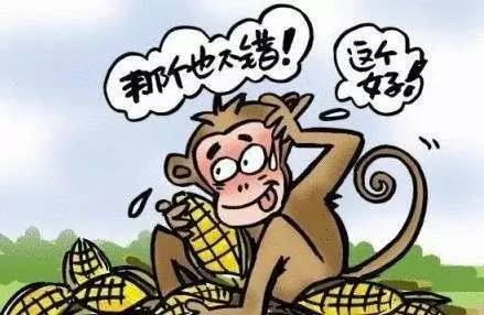 错误2:ppt 发布会 烧钱,贾跃亭像掰玉米的猴子,步子太大,扯着蛋了2