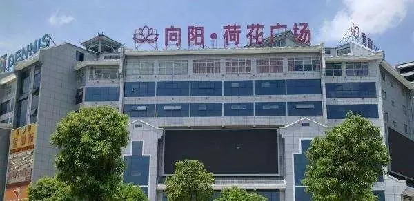 向阳荷花广场,位于中州路与解放路交叉口,且不说这里琳琅满目的小点心