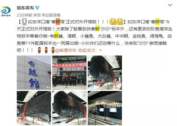洋口港香鲸馆今天上午开馆啦日报君带您探馆
