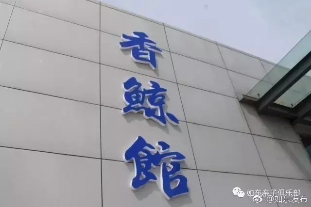 洋口港香鲸馆今天上午开馆啦日报君带您探馆