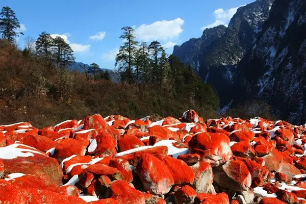 这个季节的四姑娘山美到让人不敢说话生怕惊扰这纯粹的透明世界