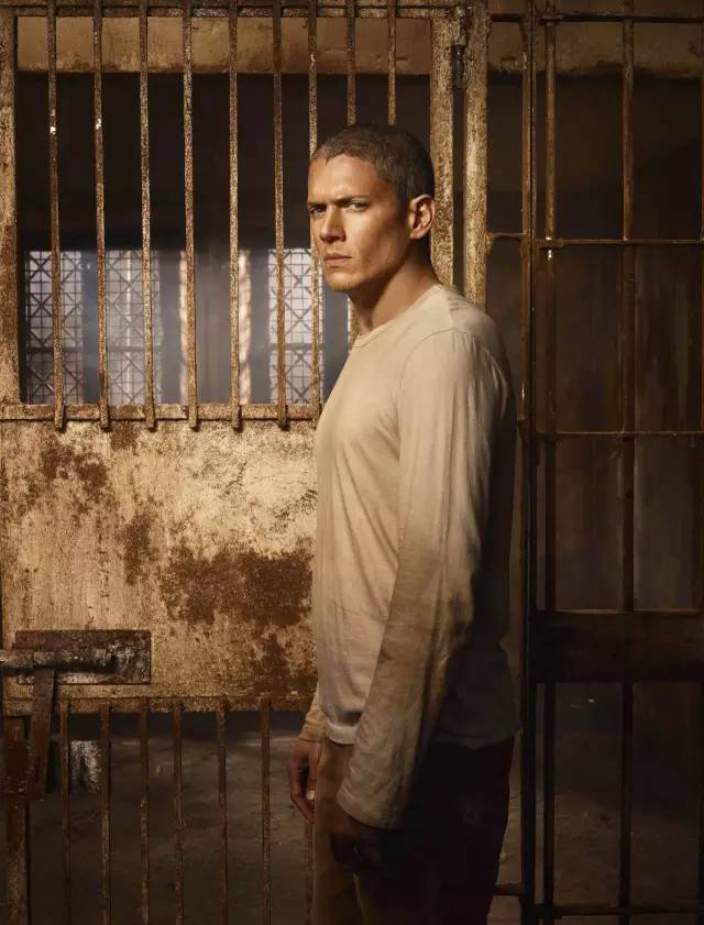 越狱第五季结局图片