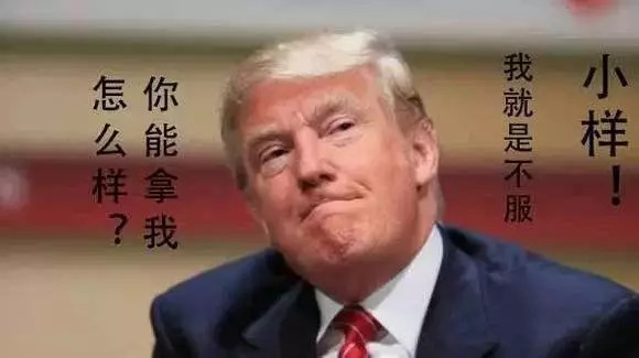 你开你的格莱美，找不到汽车圈的梗，算我输