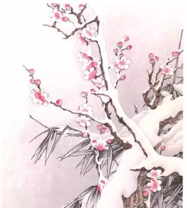 五步教你画工笔梅花