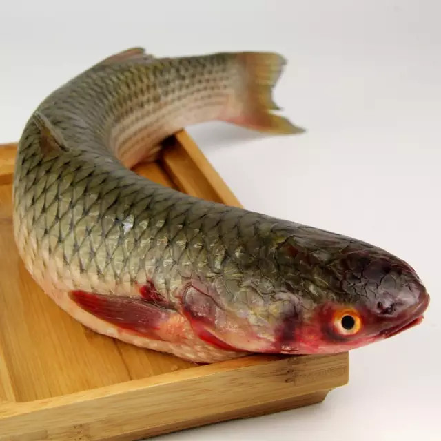 桃花虾上市梭鱼上市走进烟台集市告诉你春天这么吃海鲜