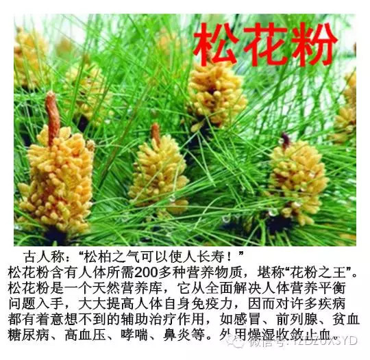 【国珍松花果蔬粉】你知道国珍松花果蔬粉的功效作用有哪些吗?