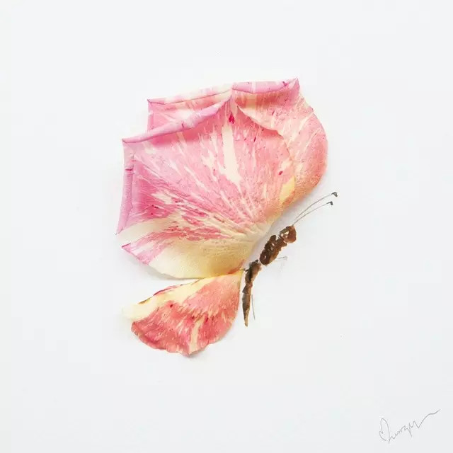 人物集她用一朵朵鲜花来作画竟画的比鲜花还美