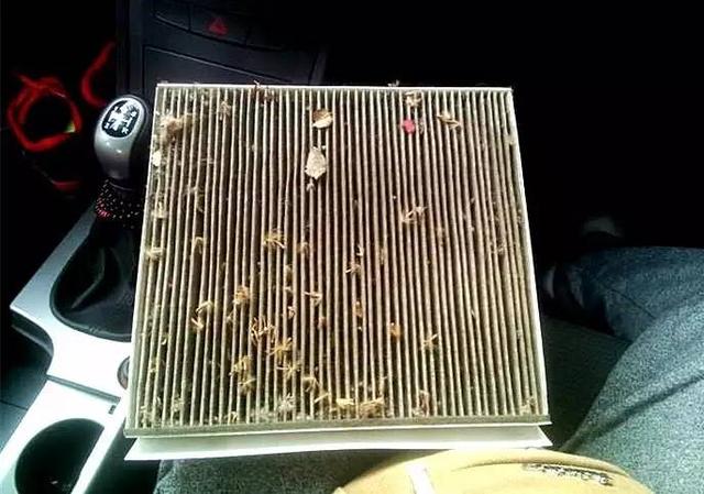 省钱技能？车上的滤芯吹吹还能继续用吗？