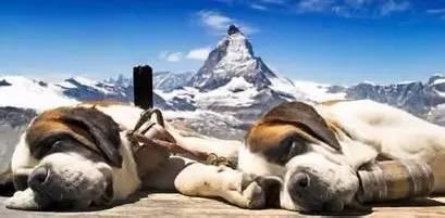 后驱动车的小秘密，快来看一看