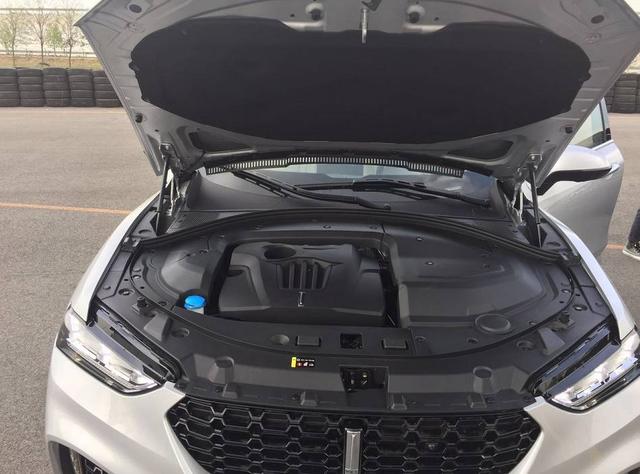 国产车崛起！首款豪华SUV的实力这么6？