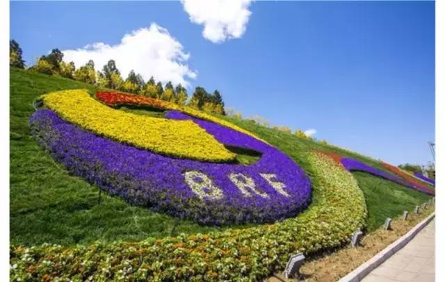 除了参与“一带一路”会议，中国汽车品牌还能沾上什么光？