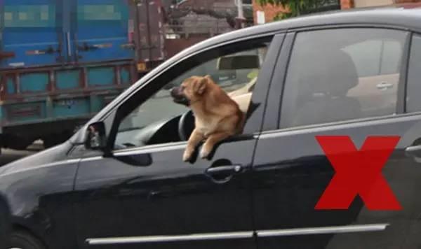 老司机教你开车时怎么“坐”