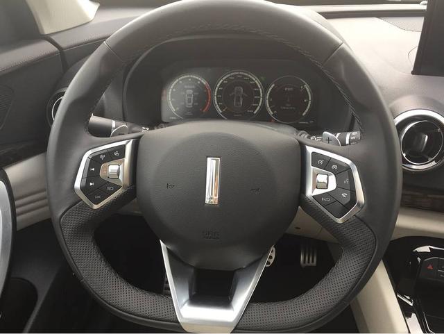 国产车崛起！首款豪华SUV的实力这么6？