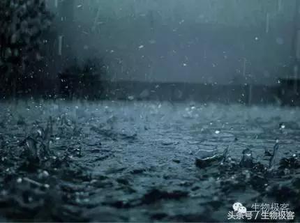 我们能不能成为未来的施一公?颜宁?薛其坤?