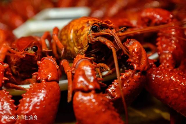 重庆美食渝北区小龙虾煌金甲