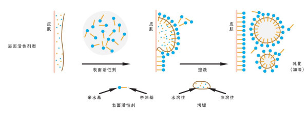 洗面奶中起清洁作用的主要是表面活性剂,它能起到 清除皮脂,同时带走