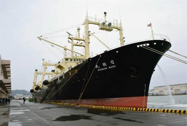 猎杀330只鲸鱼日本5艘捕鲸船自南极海域返国