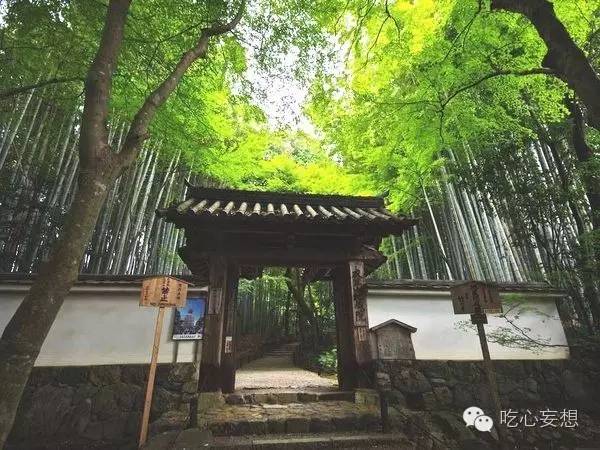 京都最神秘的寺庙 值得为它再去一次日本