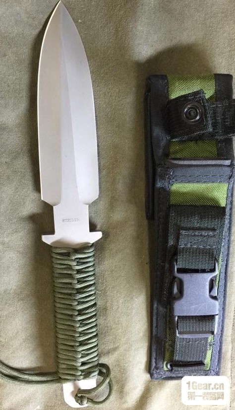 strider挺进者产品简介及总结