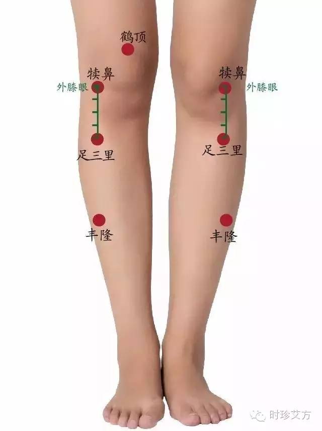 足三里是胃经的主要穴位.