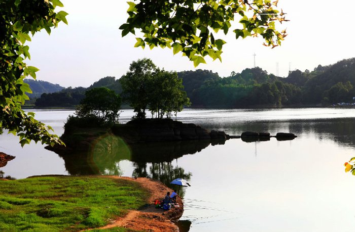 四川蒲江县成佳镇,风景秀丽,生态绿茶之乡